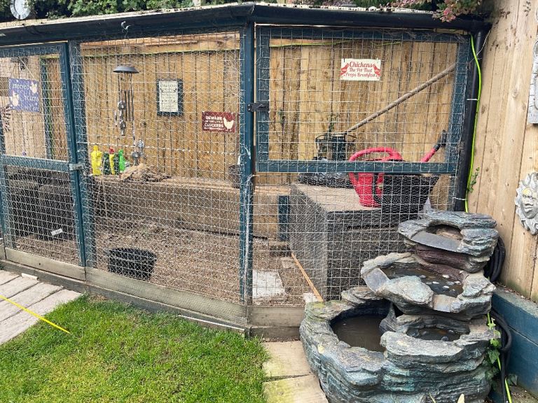 Chicken run 