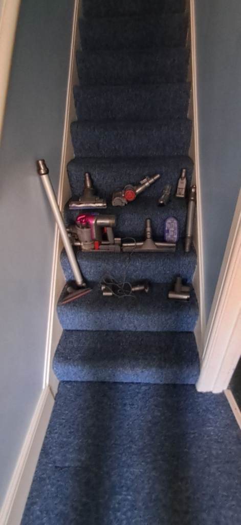 Dyson Animal Free
