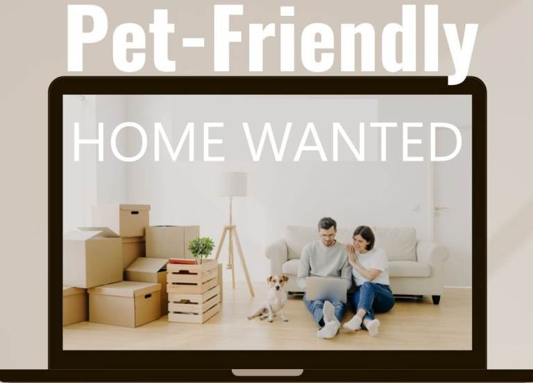 Wanted Dog Friendly Accommodation to Rent Long Term End Sept/Oct 2026