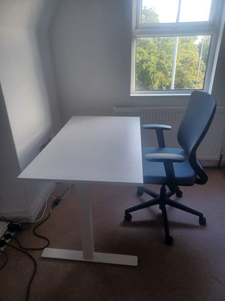 FlexiSpot BS3 Ergonomic Mesh Office Chair – Excellent Condition