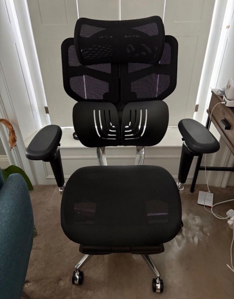 Hinomi X1 Ergonomic Office Chair