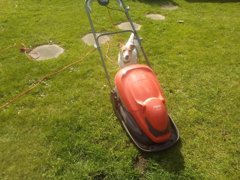 Electric, flymo hovervac grass cutter 
