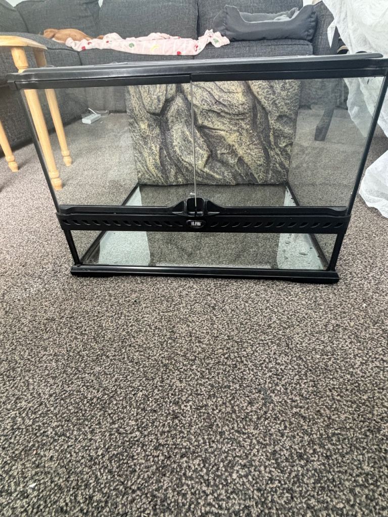 Exo Terra Glass Terrarium 45x45x30 – Full Setup Included