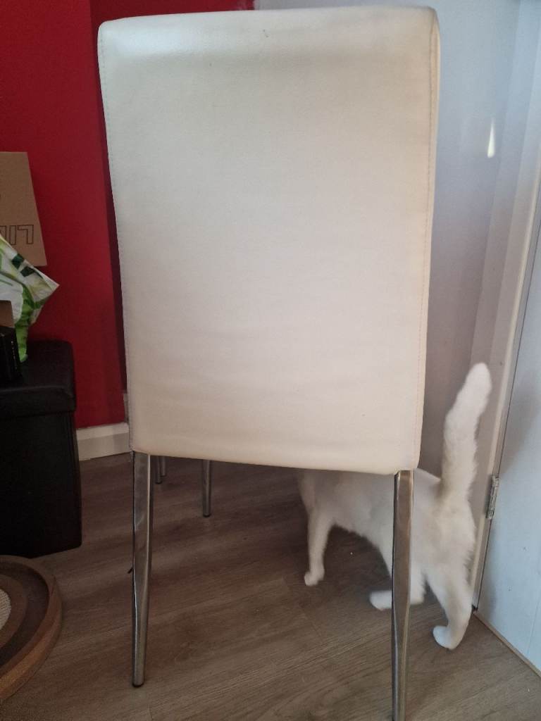 Cream Leather Dining Chairs with Chrome Legs – Good Condition