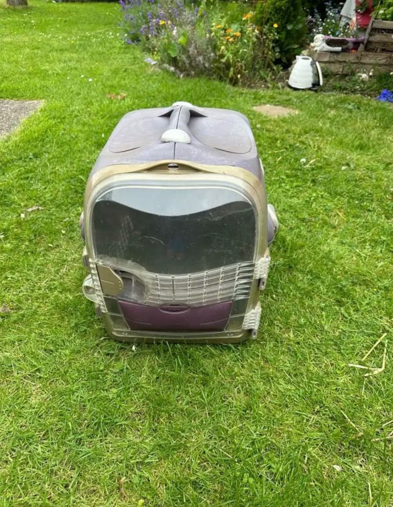 Animal carrier 