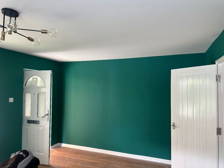 Painter and Decorator - Wallpaper and Mural Installation - Wall Panelling 