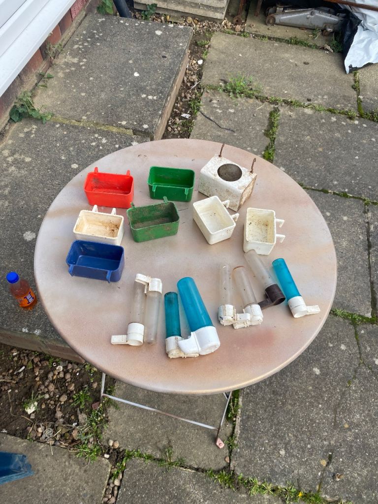 Quick sale whole lot of bird feeders and water dispenser for sale 23