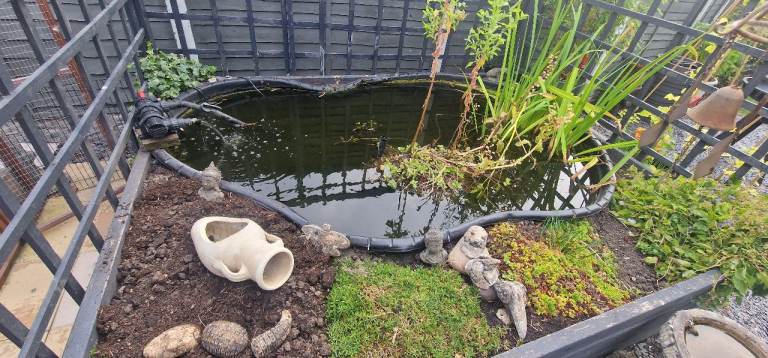 Full koi pond setup