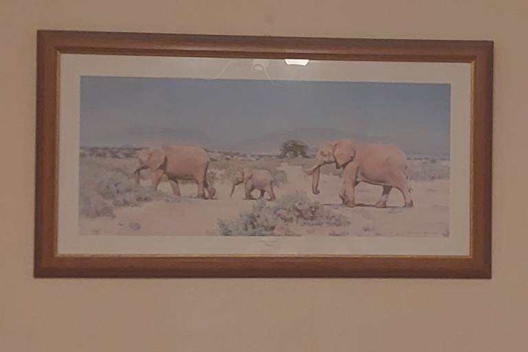 ELEPHANT PRINT IN FRAME BY NORMAN WARD 
