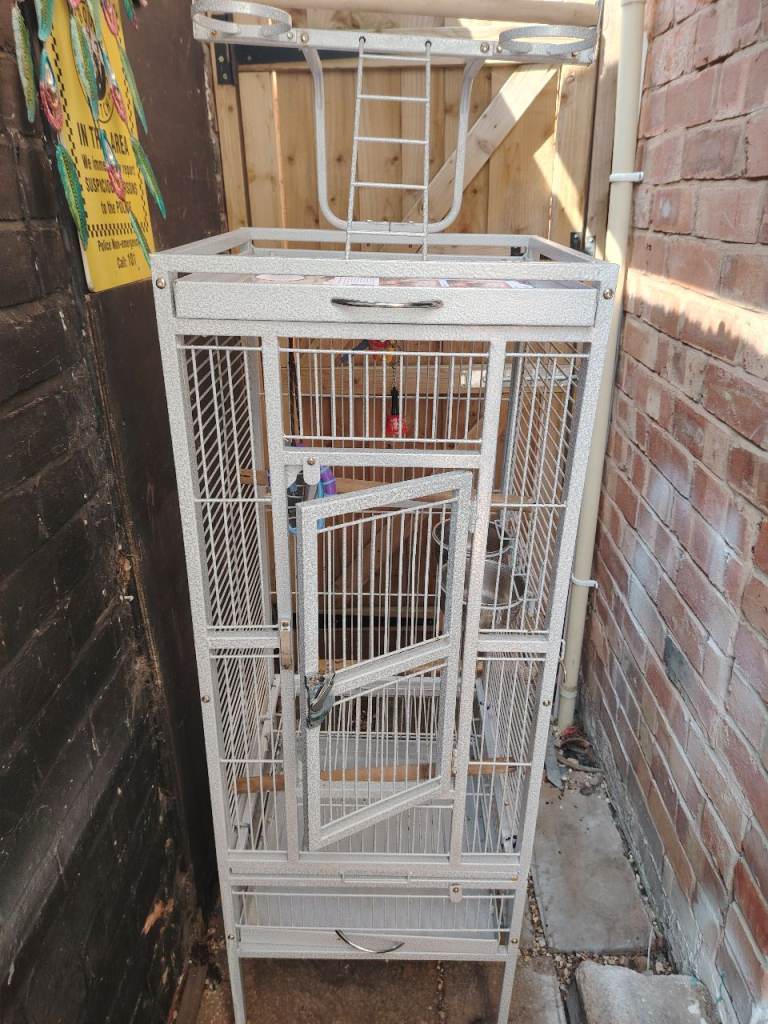 Parrot or just bird cage 