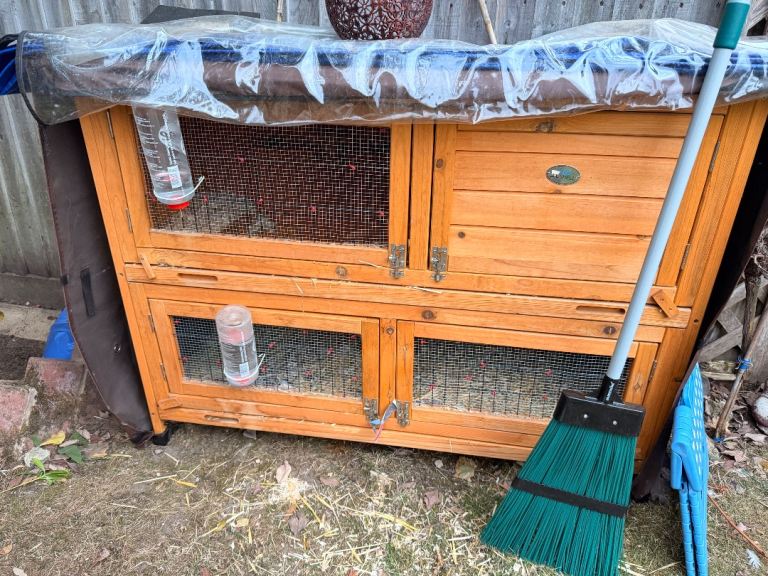 Outdoor Rabbit Hutch for sale