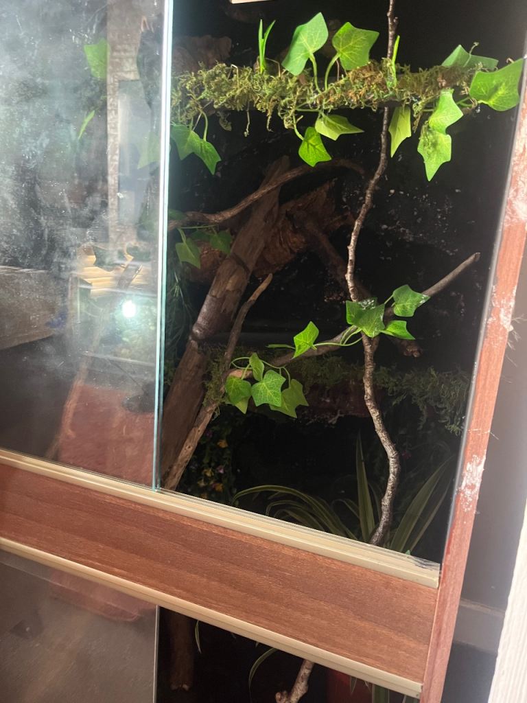 4ft tall Vivarium 