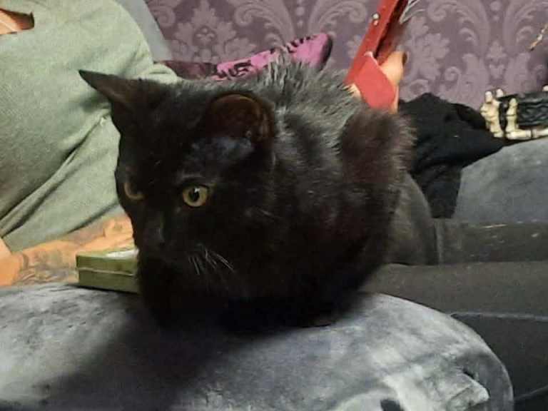 7 months old 