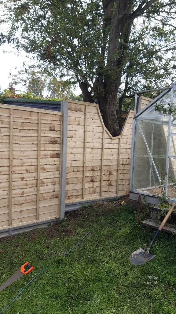 Fencing 