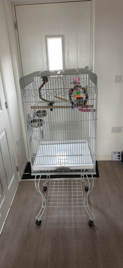 Bird cage 