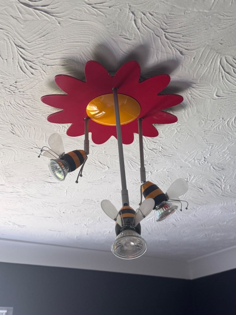 Children’s Ceiling Light