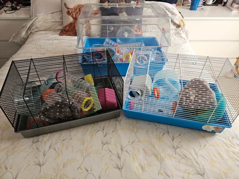 3 x Hamster Cages and lots of extras  £15 each cage