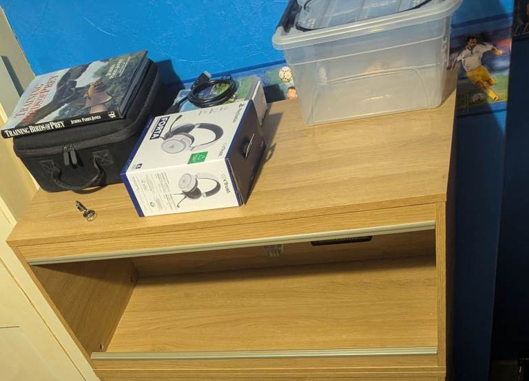 Vivarium with young corn 