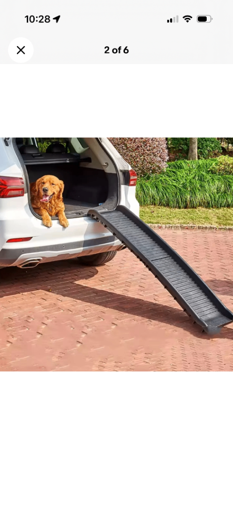 Dog car ramp