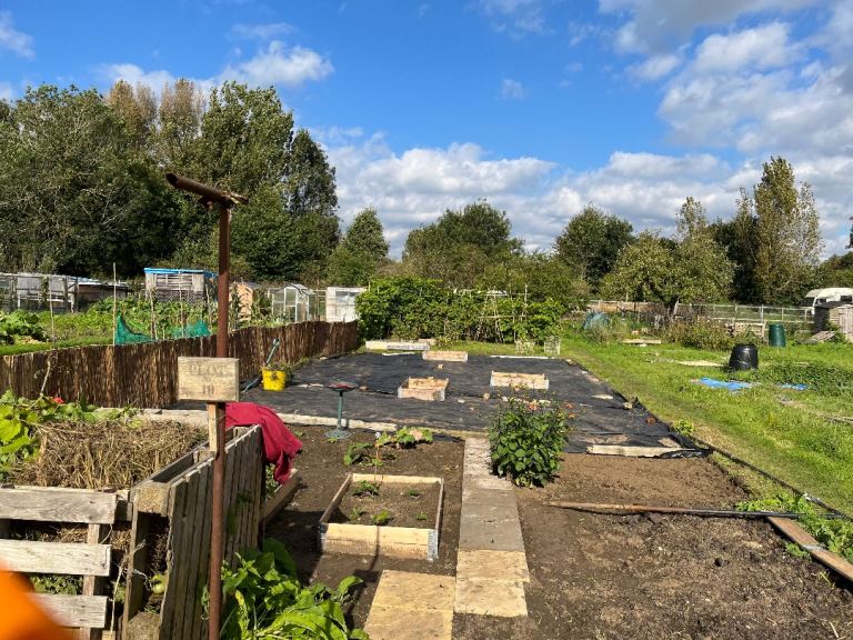 Cowmead allotments 