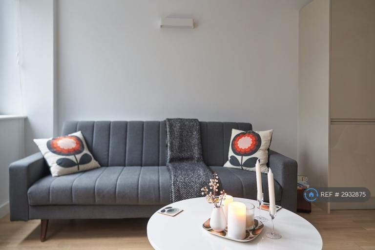 1 bedroom flat in Upper King Street, Norwich, NR3 (1 bed) (#2932875)