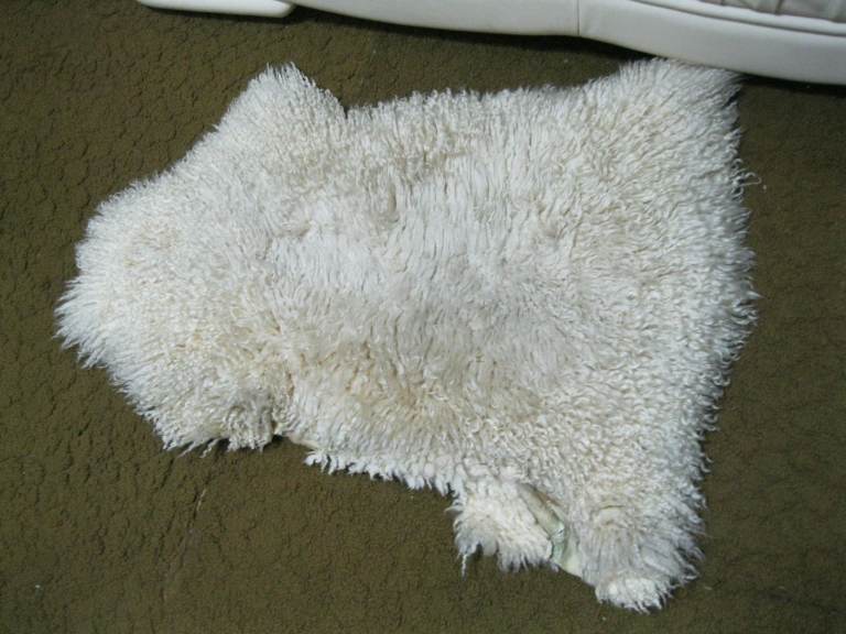 FREE SHEEPSKIN RUG   LEICESTER LE4 5DJ