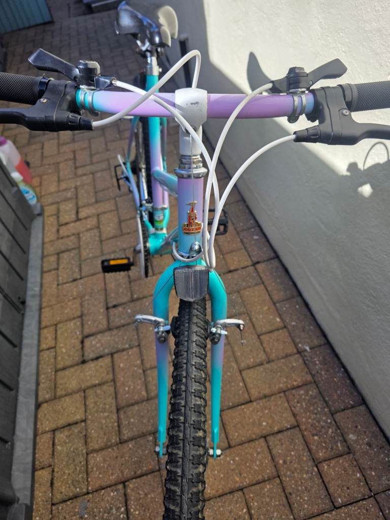 Vintage ladies Raleigh MTB fully restored 