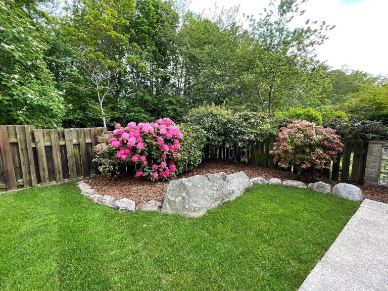 Half Price on first cut - Garden Maintenance - All landscaping requirements