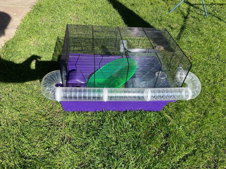 Hamster cage