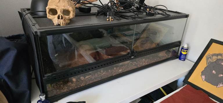 Exo Terra Vivarium with Full Setup