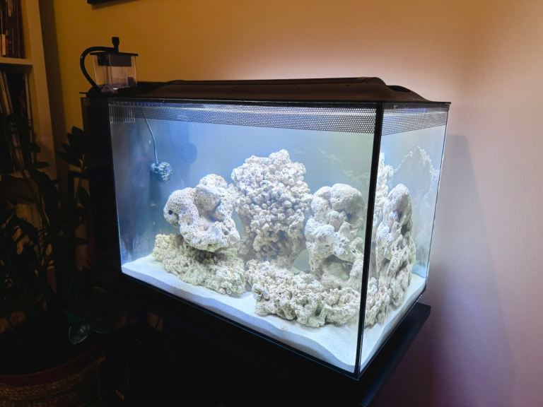 Fluval Evo Aquarium 52 Litre - Saltwater tank