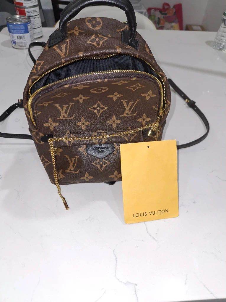 Louis Vuitton Palm Springs Mini Backpack (Great Condition)