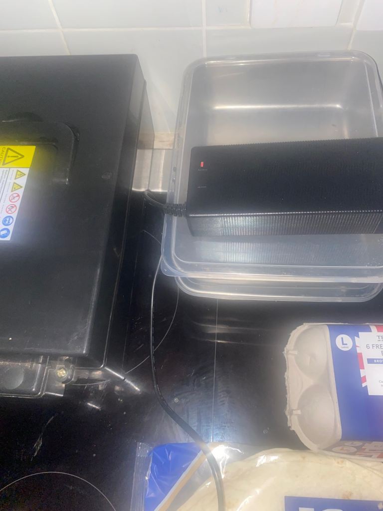 48v 1000watt electric buggy 