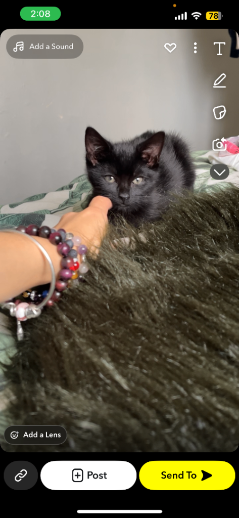 She perfectly amazing I just can’t have her no more 