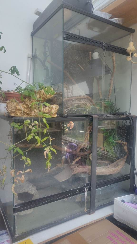 Reptile terrariums & gear
