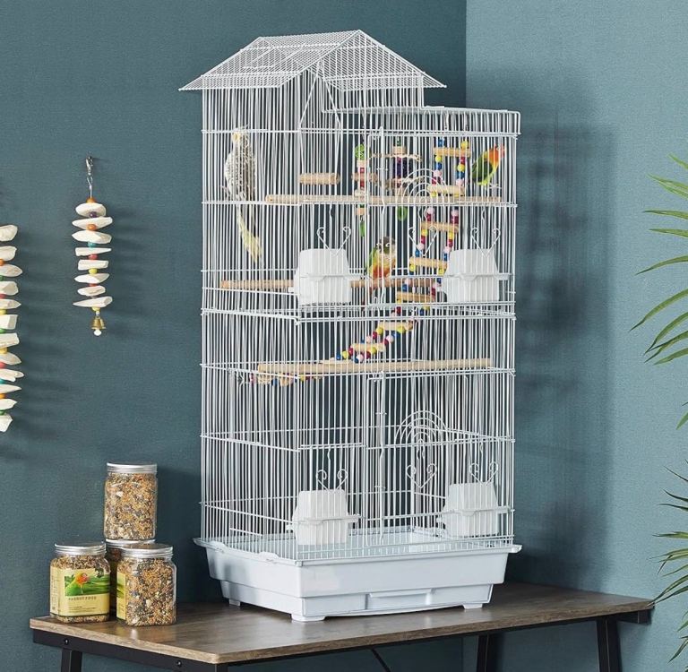 Bird cage new 