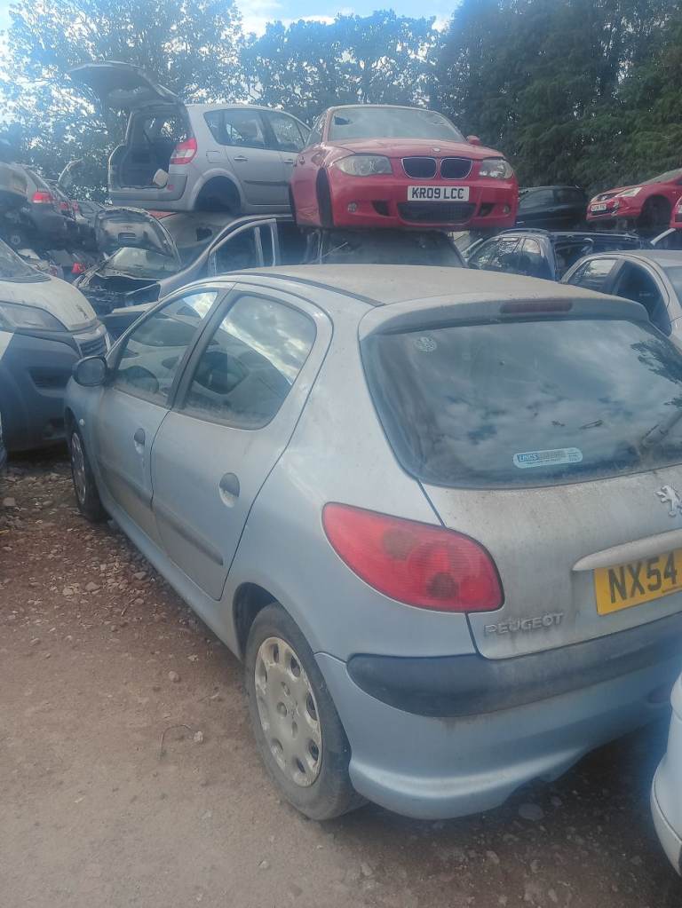 BREAKING Peugeot 206, various colours