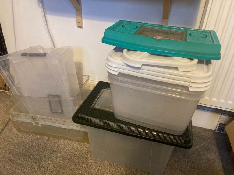 Various plastic containers & storage boxes & insect enclosures