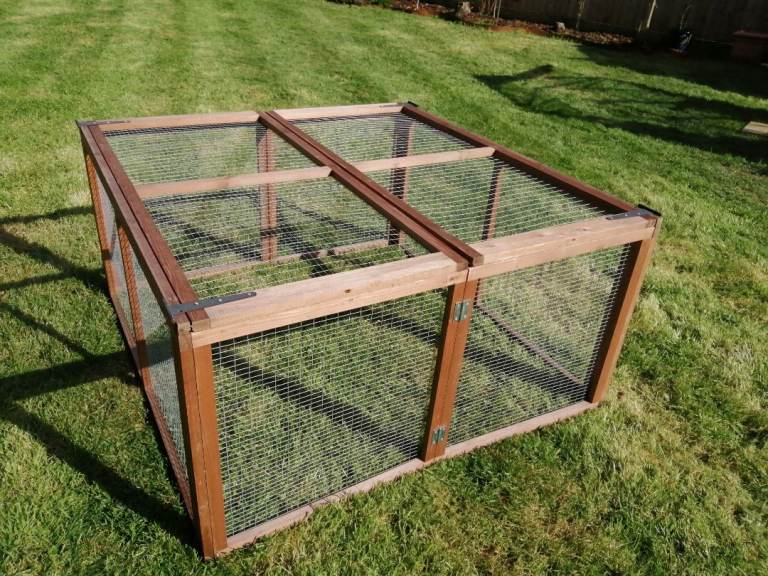 Guinea pig or rabbit run