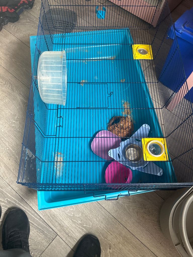 Small animal cage 