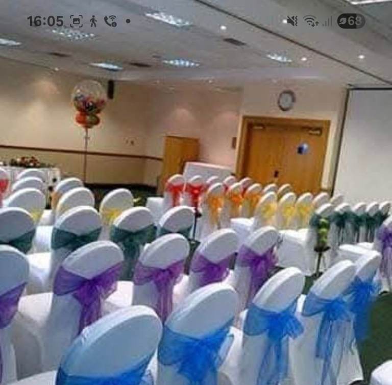 image for Wedding chair sashes for business startup