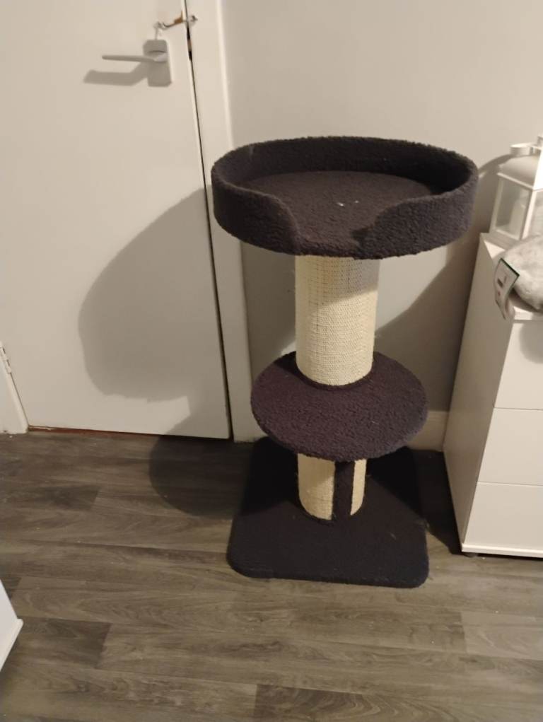Scratching post 