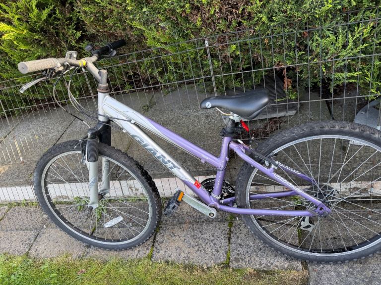 Giant ALUXX 6000 Series Mountain Bike - Purple/Silver, XS Frame