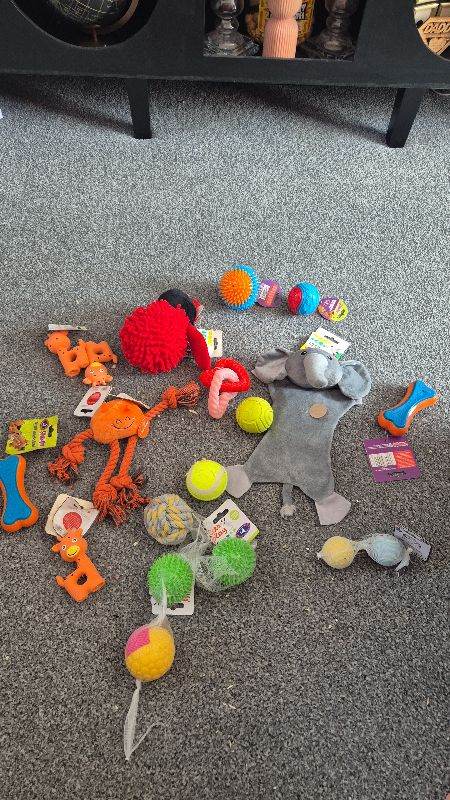 NEW PET TOYS 