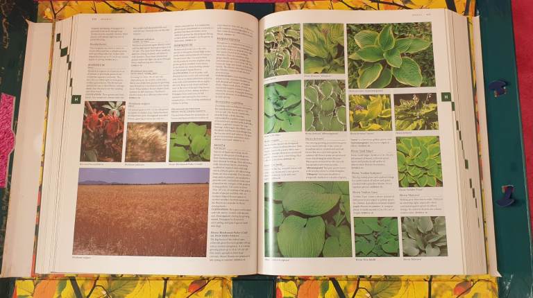 For all plant lovers - a mighty tome and CD full of information.