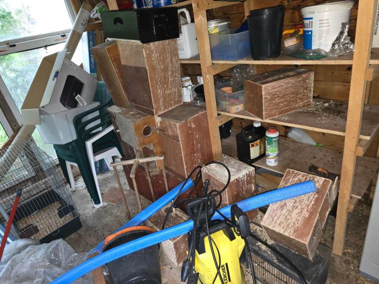 Bird Breeding boxes