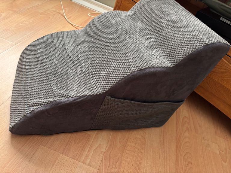 dog steps 