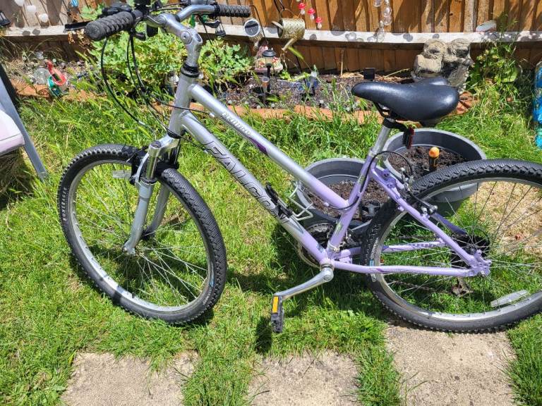 Ladies mountain bike 