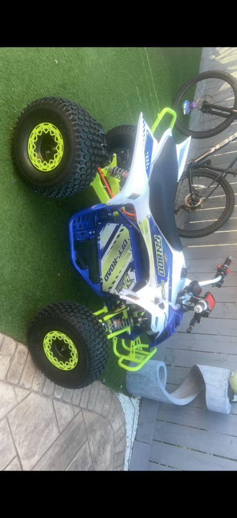 Electric quad bike