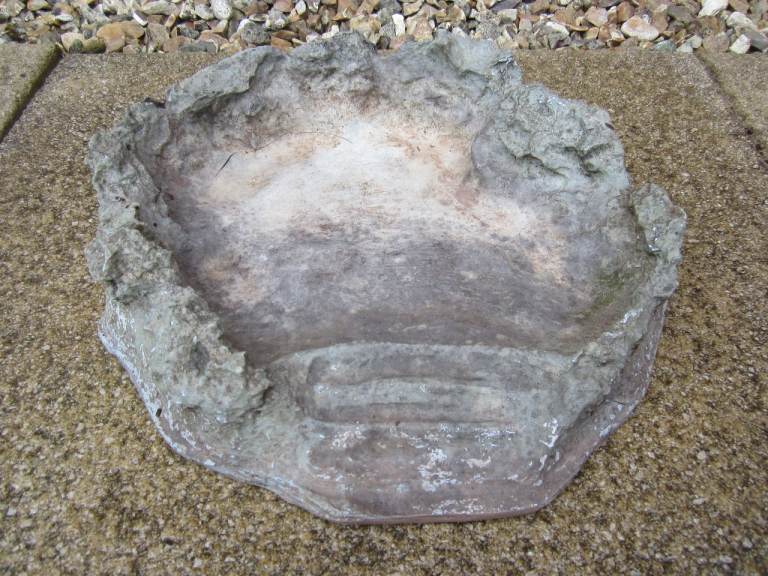 Large Reptile Feeding Dish